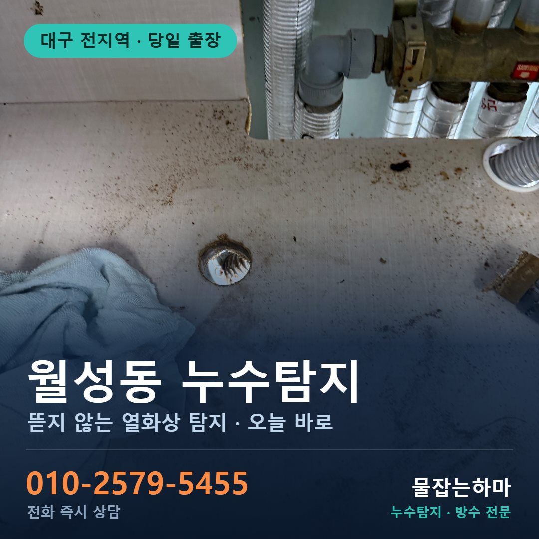 대구 월성동 누수