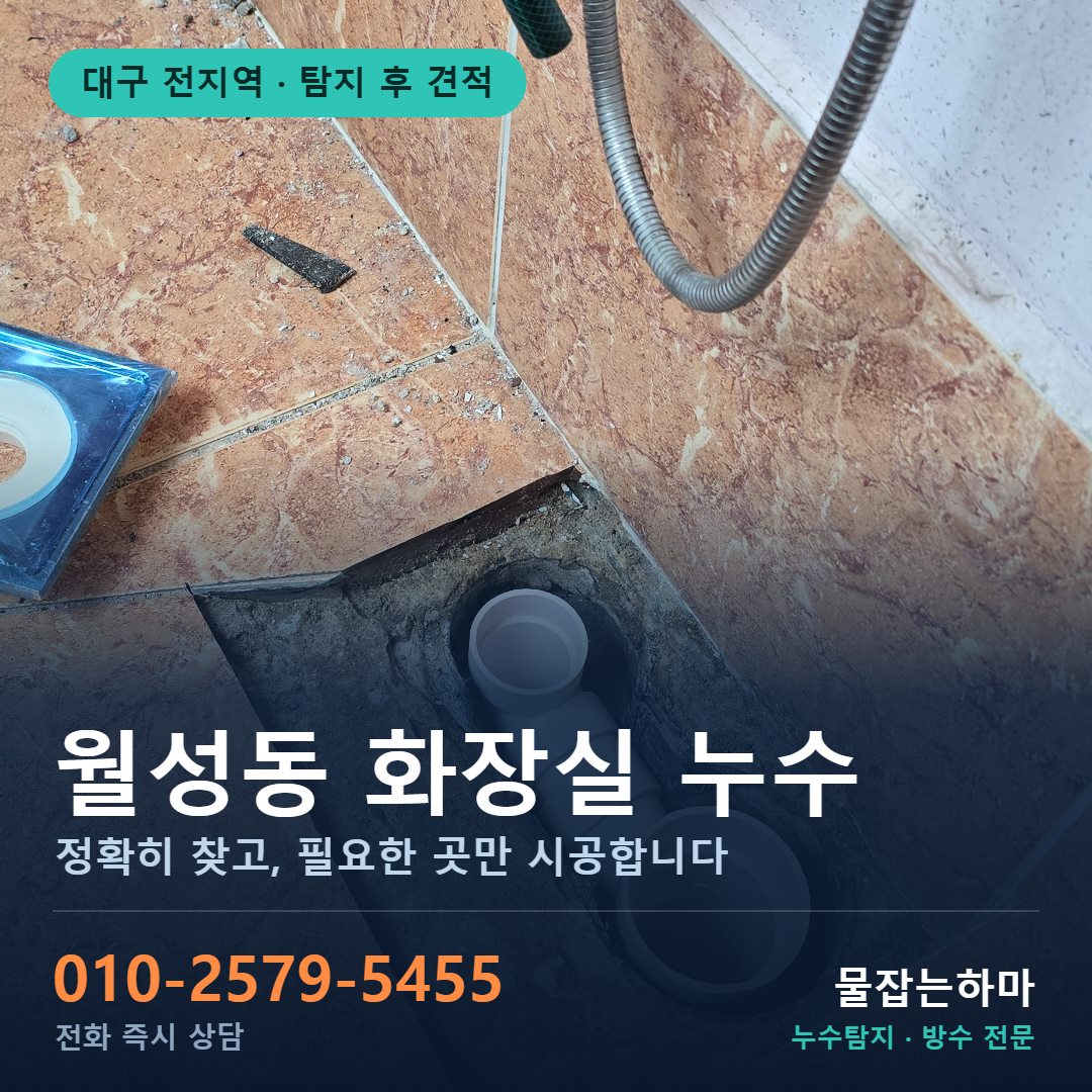 대구 월성동 누수
