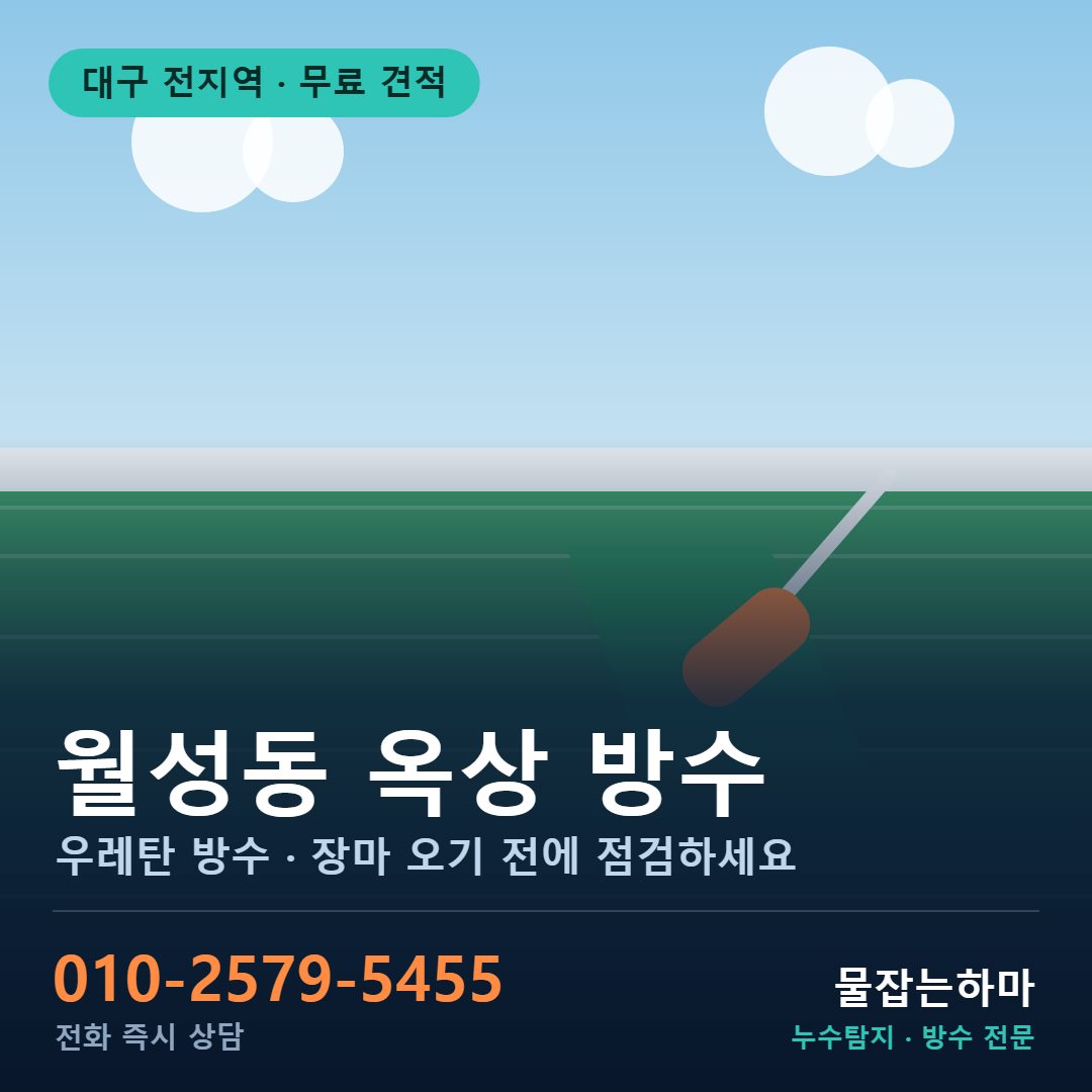 대구 월성동 누수