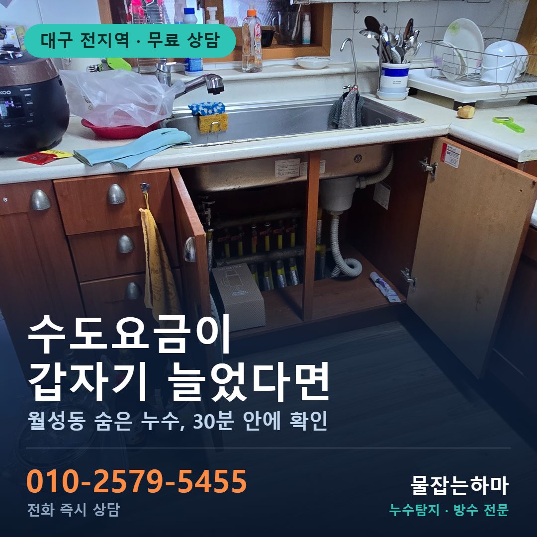대구 월성동 누수