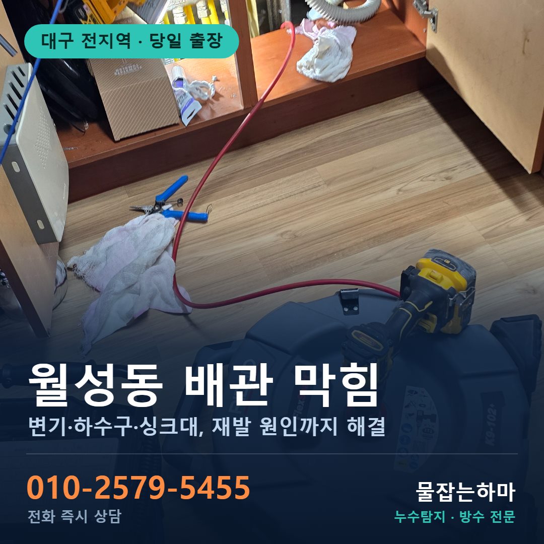 대구 월성동 누수