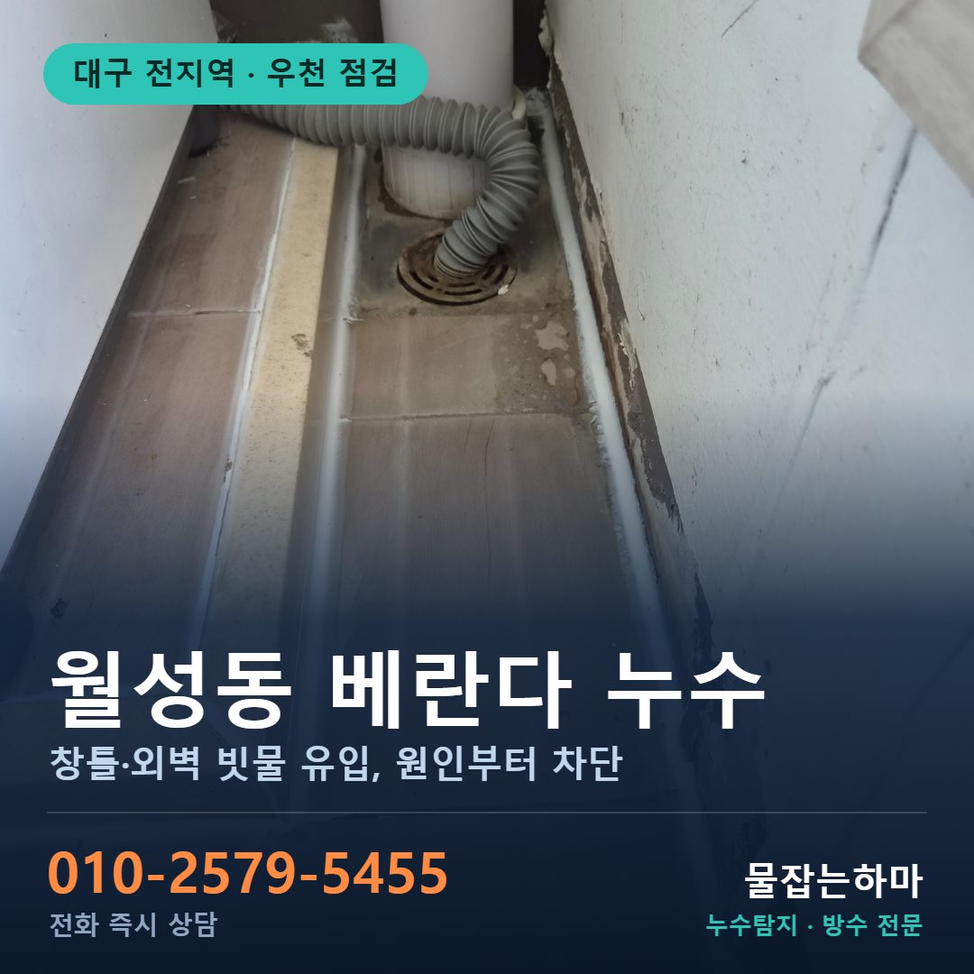 대구 월성동 누수