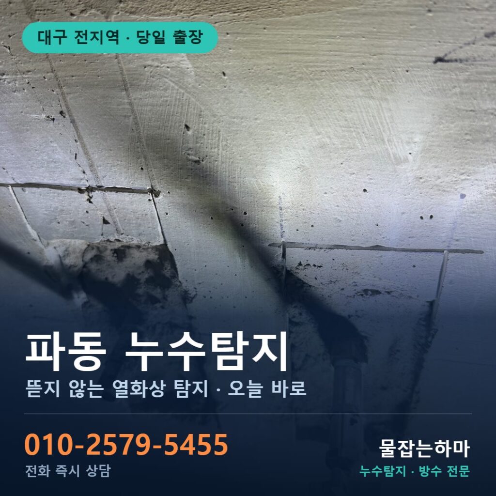 대구 파동 누수