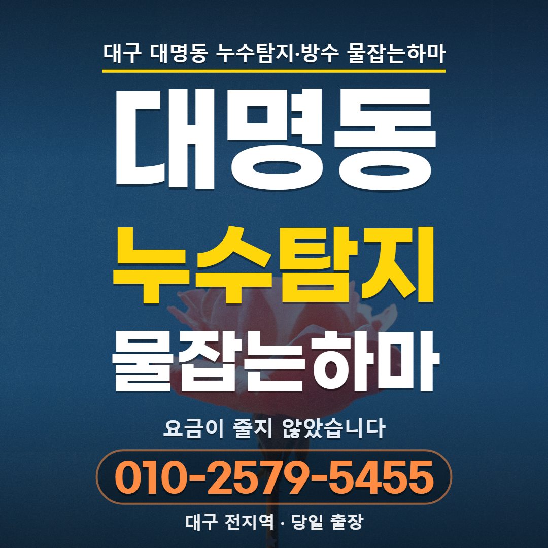 대구 대명동 누수탐지