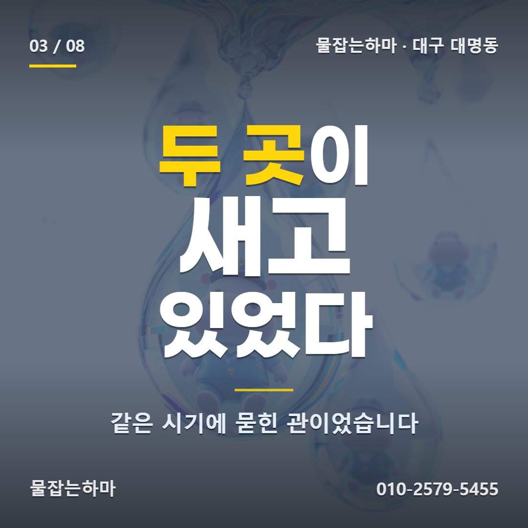 대구 대명동 누수탐지 원인은 어디에 있었나요