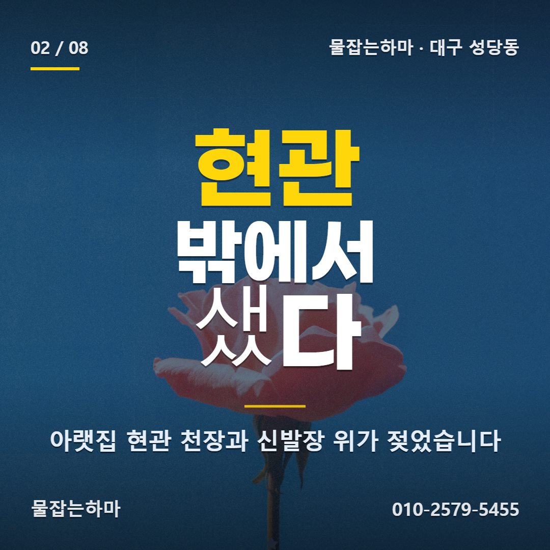 대구 성당동 누수업체 찾게 된 상황