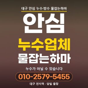 대구 안심 누수업체 | 붙박이장 뒤 벽만 젖는다면 누수가 아닐 수 있습니다