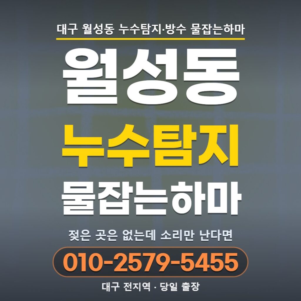 대구 월성동 누수탐지