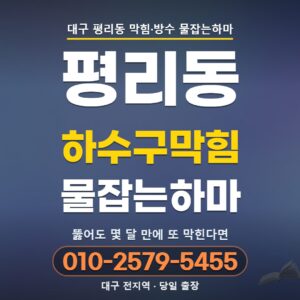 대구 평리동 하수구막힘 | 해마다 같은 자리가 막힌다면 나무뿌리를 의심하세요