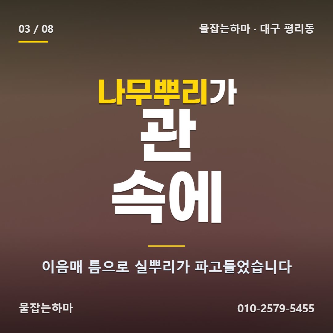 대구 평리동 하수구막힘 원인은 어디에 있었나요