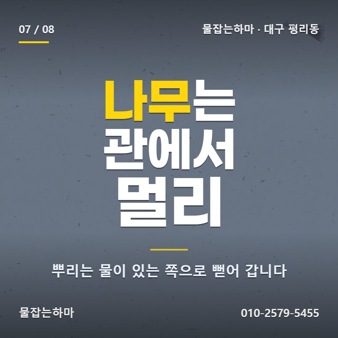 대구 평리동 하수구막힘 나무와 배관은 거리를 두고